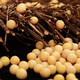 【农垦 黑龙江】 豆都  有机黄豆有机食品 质量可追溯 天然黄豆400袋g