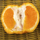 七星关橙满园椪柑 5kg 不催熟，不打蜡，无公害认证