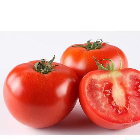 马屿特产 新鲜蔬菜 番茄 5斤