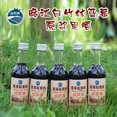 麻江蓝莓果酒500毫升6瓶装  全国包邮（港澳台及偏远地区不发货）