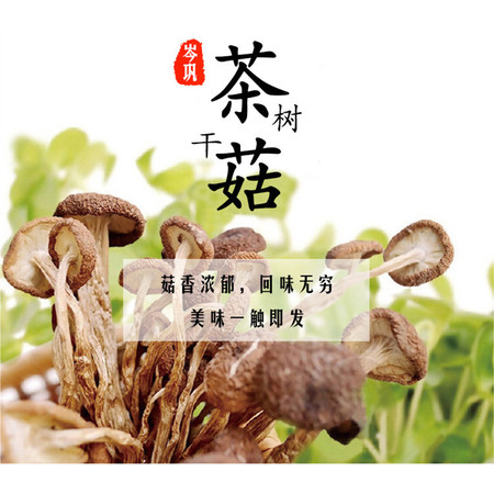 【岑巩茶树菇】贵州岑巩茶树菇干 菇香浓郁现摘现烘焙500g贵州省内包邮