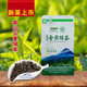 【海南保亭振兴馆】海南北纬18度 高山云雾茶 金鼎红/绿茶 （50g/250g）