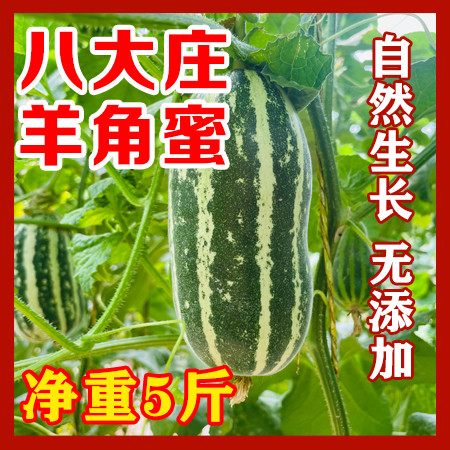 八大庄 【石嘴山市内寄递】脆甜多汁现摘羊角蜜