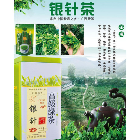 广西天等高级绿茶100g（精装版） 【崇左馆】