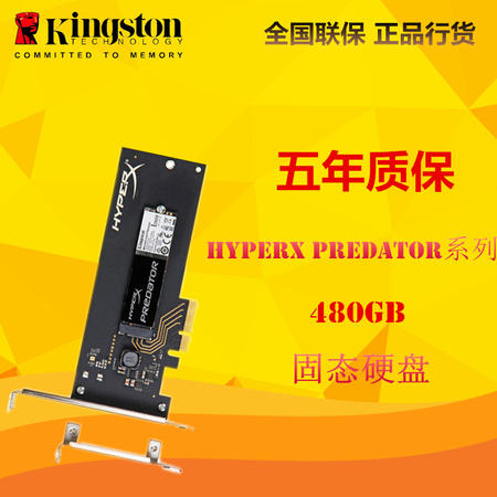 金士顿(Kingston)HyperX Predator系列 480G PCIe 固态硬盘