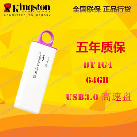 金士顿（Kingston）DT IG4 64GB USB3.0 U盘 紫色图片