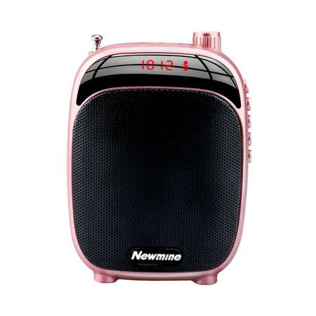 纽曼(Newmine) K30 小蜜蜂腰挂扩音器 唱戏机 FM收音插卡音箱便携音响 教学专用/导游销