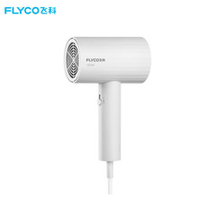 飞科/FLYCO  电吹风机家用大功率速干吹风筒恒温护发不伤发大风力便携FH6295