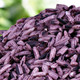 先农氏 黑糯米紫糯米400克/袋紫米 非红米包邮 五谷杂粮粗粮 新米