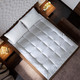  康尔馨 希尔顿五星级酒店床垫 防螨抗菌保护垫子