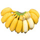  广西小米蕉5斤装芭蕉新鲜水果