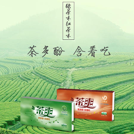 茗阳茗 板装茶爽 30g*2板