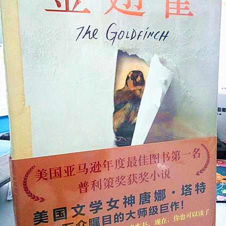 现货 金翅雀 普利策奖获奖小说 美国亚马逊年度100部图书 唐娜塔特大师级巨作 外国现当代畅销正版文