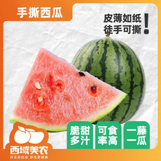 西域美农 【现摘现发】当季新鲜水果陕西蒲城手撕西瓜2枚装（7-7.5斤