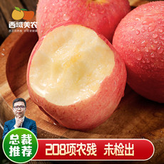  西域美农 新鲜脆甜陕西延安洛川红富士苹果净重4.5斤