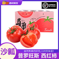 西域美农  陕西泾阳普罗旺斯沙瓤西红柿4.5-5斤彩箱装