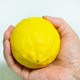  西域美农 四川安岳柠檬5斤精选大果单果180g +新鲜水果 源头直发