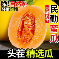  西域美农 新鲜水果甘肃民勤头茬沙漠黄金蜜瓜4.5-5斤