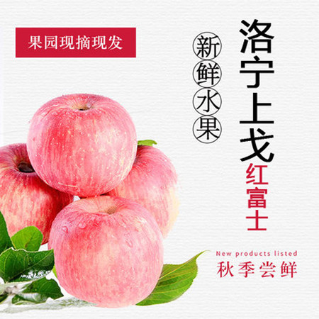 洛邮记 【金融积分兑换】力丰 2.5kg 上戈红富士苹果图片