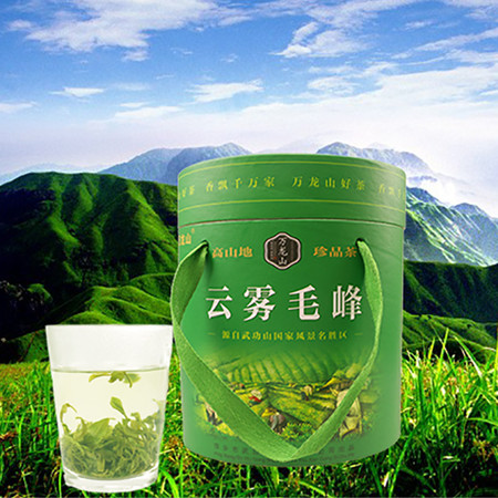 万龙山  250/罐 云雾毛峰茶绿茶 茶叶高山地绿茶【1罐】茶叶图片