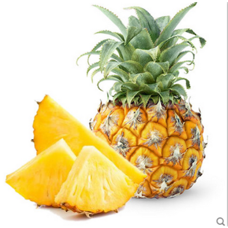 【泰国原产地进口】预售 小菠萝7个装  新鲜进口水果迷你小菠萝凤梨香甜