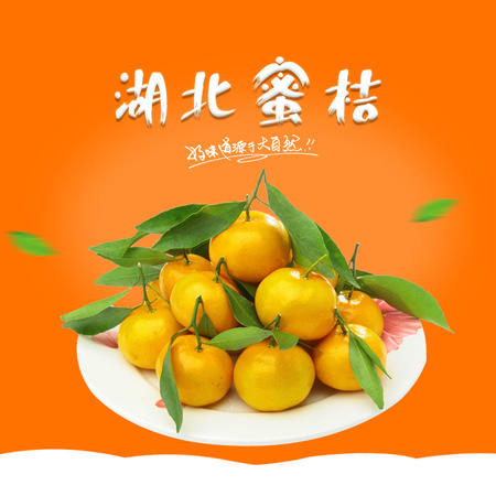 宜昌三峡特产] 蜜橘买2斤送3斤装皮薄味甜图片