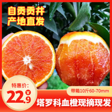 农家自产 四川自贡白庙塔罗科血橙含箱5kg绿色纯天然