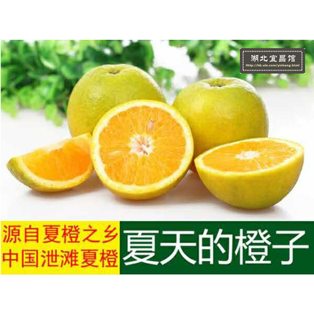 【三峡特产】秭归夏橙脐橙新鲜水果橙子 净重9斤装包邮图片