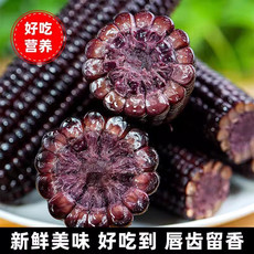 青云乐 即食黑甜糯玉米220g/支（10支/5支）