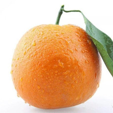 农家自产 【新昌】橙子1个尝鲜