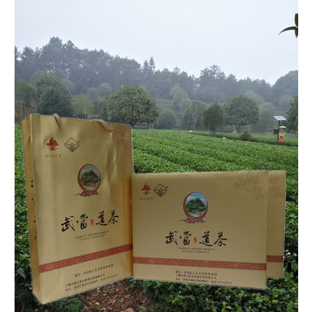 湖北十堰郧阳区 新茶 桂龙云剑武当道茶剑茶400g 单芽初展【复制】图片