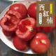 【壶关县扶贫地方馆】农家现摘新鲜西红柿5斤装 自然成熟番茄沙瓤番茄 包邮（偏远地区除外）