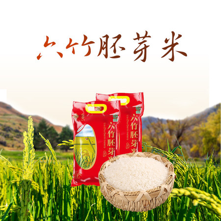 六竹 胚芽米5kg