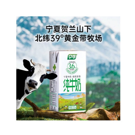 宁牛 原味生牛乳200ml*10