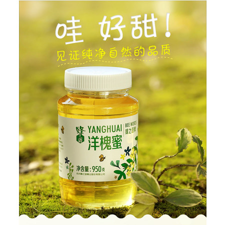 蜂之语洋槐蜂蜜 蜂蜜纯净天然农家自产槐花蜜950g*2瓶峰蜜