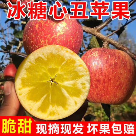 【阿邮助农】川西高原茂县糖心丑苹果 5斤装（精品）图片