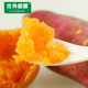 【仕外田源】农家现挖新鲜红薯香薯地瓜甜山芋5斤
