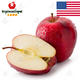 【五星果品】美国水果基地   红蛇苹果   优选12个