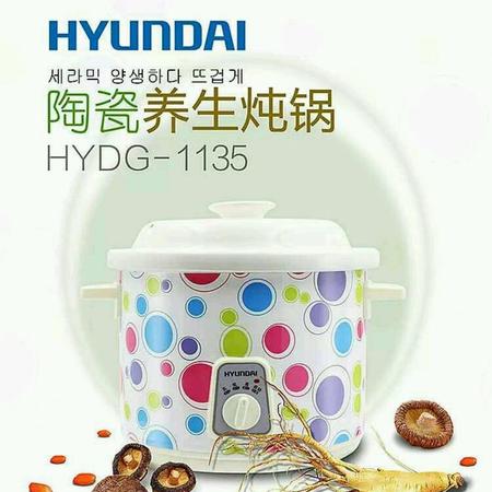   陶瓷养生炖锅    HYDG-1135图片