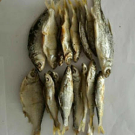 5A景区湖南特产东江湖野生黄花鱼500g     (银条鱼)图片