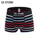  CK STORM 男士内裤 2条装 莱卡棉经典系列U凸大囊袋条纹中腰平角裤