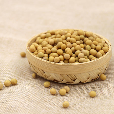 [爱心助农-明记在心]东北农家黄豆非转基因纯天然做豆浆450g