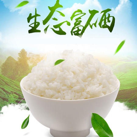 [精准扶贫-三明馆] 2015年新米 农家自产稻花香大米有机长粒米420g包邮