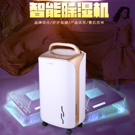 赛特斯CSQ-1010除湿机家用静音抽湿吸湿器干衣净化去潮工业除湿器图片