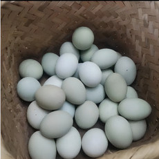 农家自产 【垫江邮政】普顺长柏散养土鸡蛋50枚