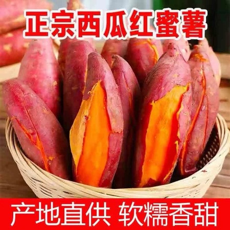 农家自产 【垫江邮政】西瓜红蜜薯小果单果150-250g