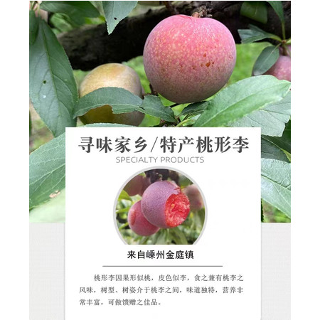 明稷香 【基地农品】嵊州桃形李20个精品（单果50-60g）图片