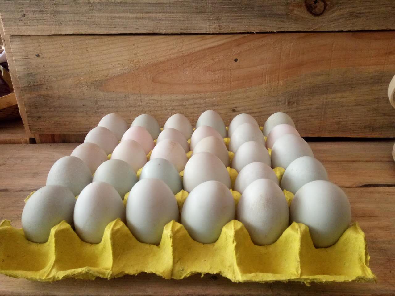 零无染 大凉山特色农产品咸鸭蛋，蛋黄出油