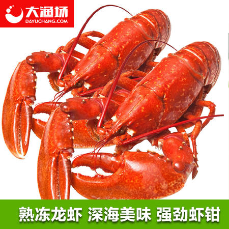 【大渔场】熟冻波士顿龙虾350—400g*2只  小龙虾 熟 加拿大海虾