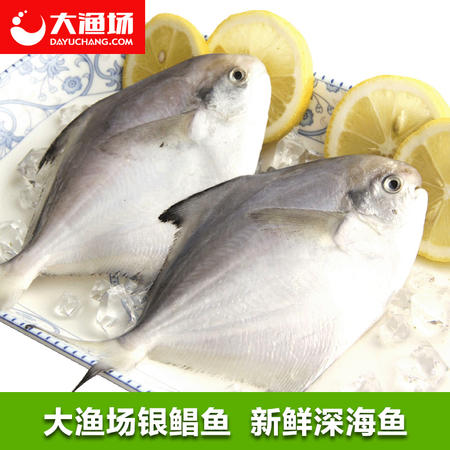 【大渔场】银鲳鱼2-3条/斤 新鲜深海鱼 海捕扁鱼 鳊鱼镜鱼海鲜图片
